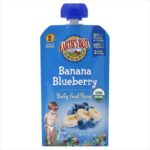 Baby Products-Earth’s Best Organic Banana Blueberry Baby Food Puree – Stage 2