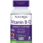 Diet & Nutrition-Natrol Vitamin B-12 Fast Dissolve 5000 Mcg – 100 Tablets