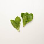 Lettuce-Winter-Density-Ultra